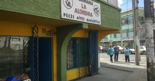 VETERINARIA LA ALONDRA LA ESPERANZA SUR VETERINARIA LA ALONDRA LA ESPERANZA SUR